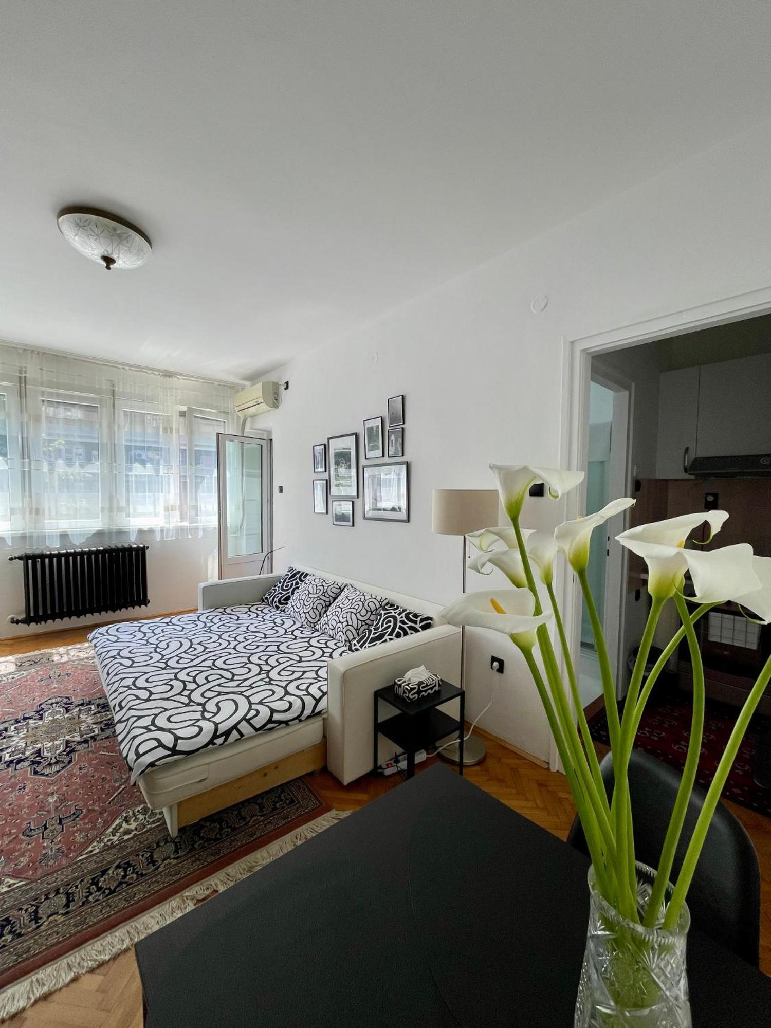 Apartment Mirochka Βελιγράδι Εξωτερικό φωτογραφία